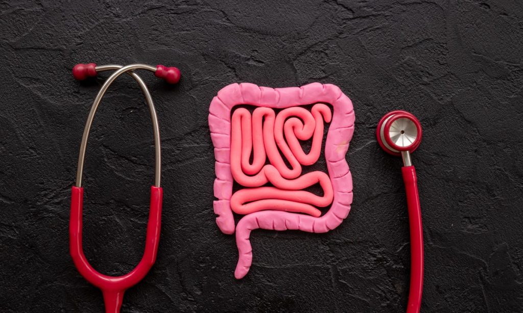 Ways to Support the Gut-Hormone-Immune Axis in New York City
