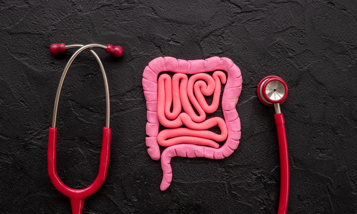 Ways to Support the Gut-Hormone-Immune Axis in New York City