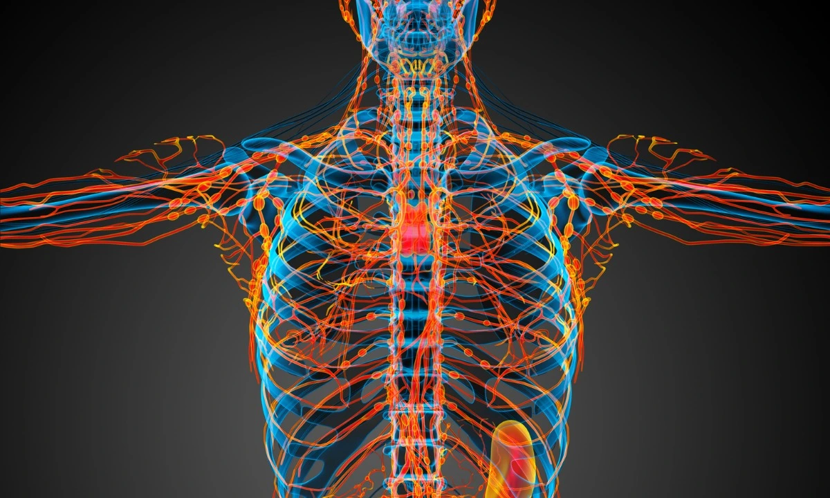 At Atlant Health Wellness Center in New York City, we offer personalized lymphatic drainage therapy