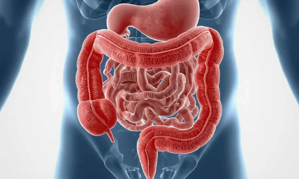 Colon hydrotherapy session for weight loss and wellness Midtown East NYC wellness center with gravity and closed-system colonic equipment