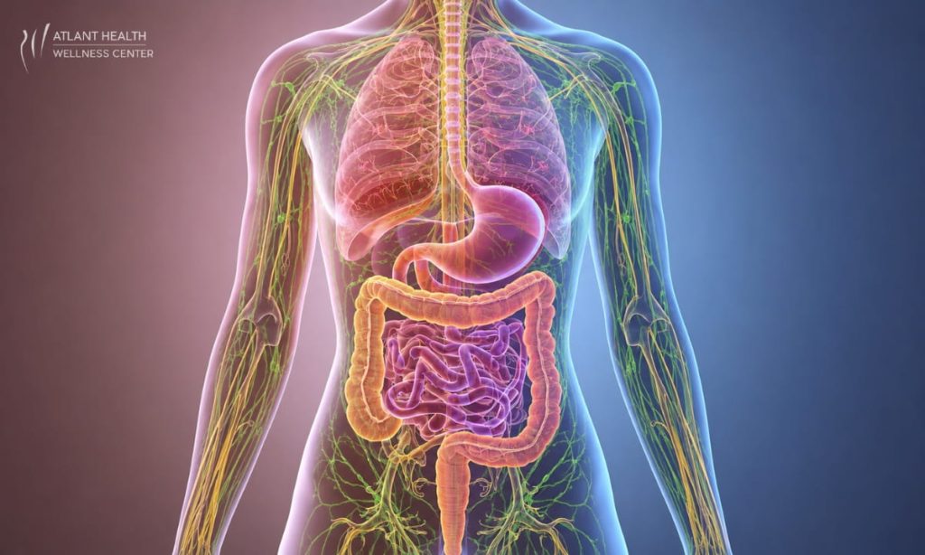 Client receiving lymphatic drainage therapy at Atlant Health Wellness Center NYC as Month 1 of the HoloBiome Roadmap detox and healing process